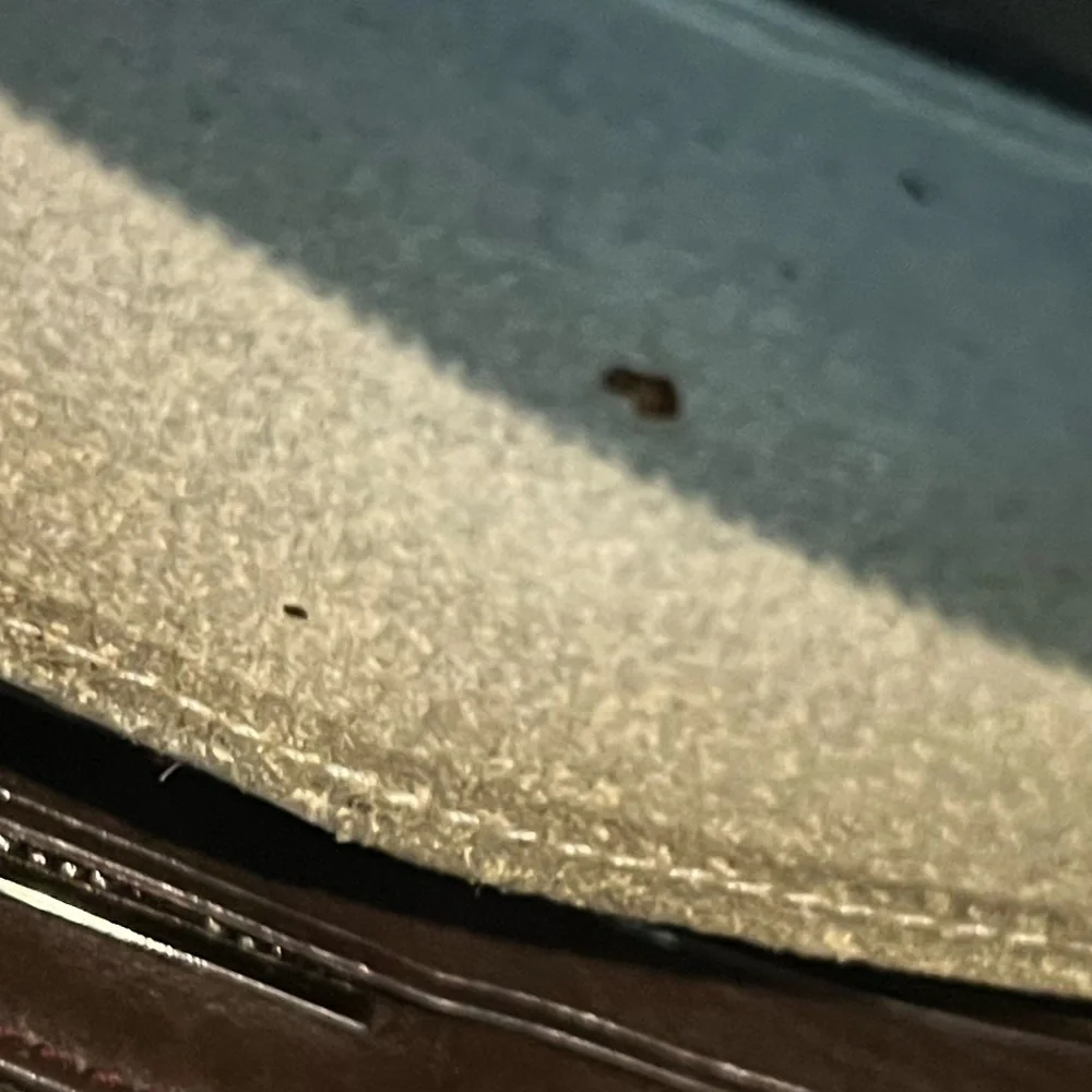 Vintage Marc Jacob’s‎ Brown Leather Buckle Clutch Wallet
